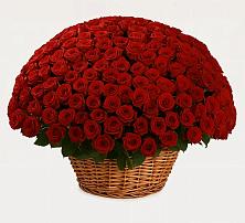 Премиум букет из: Розы #REPLACE_PRED# Икше