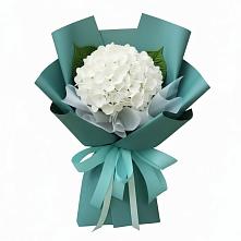 Букет цветов из:  Гортензия в Икше